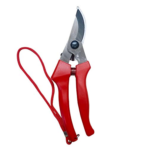 Image of Mario Scissors for Gardening /Purnning Work - 8.4 inch / 214 mm - Strong Cutting Scissors, Safe to Handel - Premium Stainless Steel Blade Scissors - MGS 702