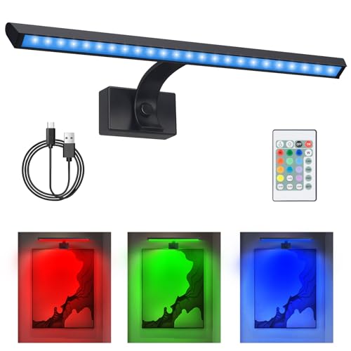 BIGMONAT 16inch Wireless LED Picture Light with Remote, USB Rechargeable Battery Operated Painting Light, Color Changing Art Display for Wall with Timer,Dimmable Art Light for Paintings,Frame,Portrait