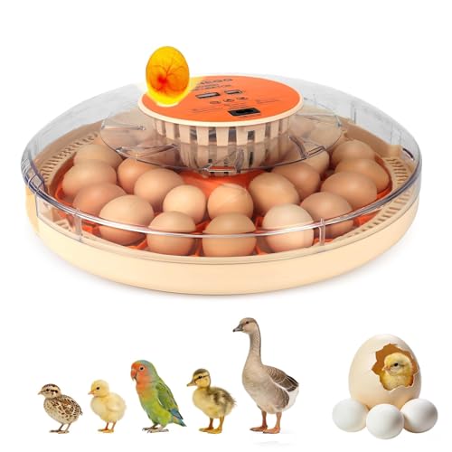 ZEMIRO CHARGE Incubadora de 30 huevos con girador automático, pantalla digital de temperatura y humedad, y vela de huevo integrada para incubar pollos, codornices y patos
