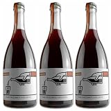 Frizzante Biologico Vino Rosso Dopolavoro Corvezzo 3x75cl