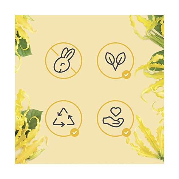 Love Beauty and Planet Coconut Oil & Ylang Hope and Repair Shampoo and Conditioner for Dry and Damaged Hair 2 Count, 13.5 oz each, Paraben , Silicone Free, Vegan