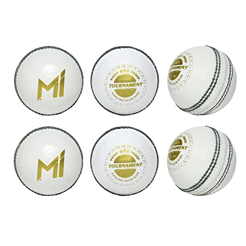 playR x Mumbai Indians Super Tournament Leather Ball Pack of 6 - White (B0BMXL86YS) Amazon Price History, Amazon Price Tracker
