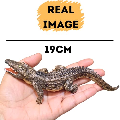 Image of FUNFOB Crocodile Toys Figure Width -19cm Crocodile Action Figures Wild Animal Toy for Kids & Adults PVC Multicolour | Croco dile
