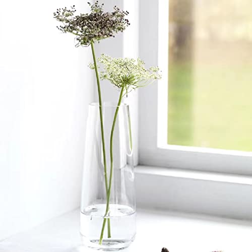 Funsoba Clear Glass Bud Vase Set Of 6 - Small Vases For Flowers, Cute Glass Vases For Centerpieces (Clear) #TOP4