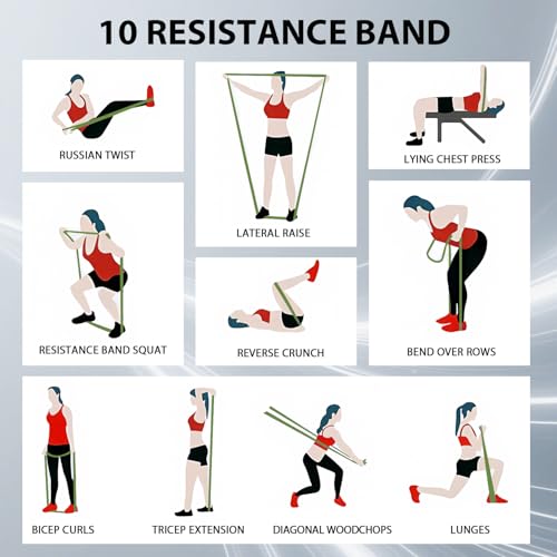 Image of LEEKEY Resistance Bands, Exercise Bands with Handles,Pull Up Assist Bands - Band Set with Door Anchor - Bands for Working Out,Band for Men and Women Fitness Training, Physical Therapy,Home Workouts