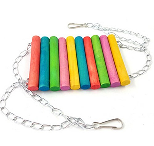 Toruiwa - Altalena per pappagallo, pappagallo