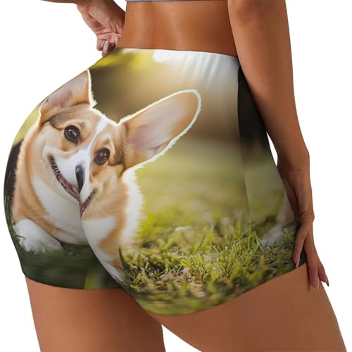 Women's Ladies Compression Athletic Shorts for Running Yoga 2025 Pilates Shorts2