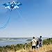 Dragon Kite for Adults, Kites for Kids Ages 4-8 8-12 Easy to Fly, Kids Kite for Boy Girls, Beginners, Beach Trip Park Family Outdoor Games and Activities(Blue)