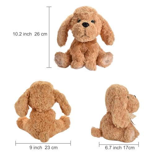 GOBRILLFUN Interaktives singendes Plüschtier – Hund Stofftiere Aufzeichnen & Wiederholen, was Sie Sagen, 8 Lieder, Kopf- & Ohrbewegungen, Geburtstag Weihnachten für Kleinkinder Alter 3 4 5 6