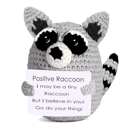XLKTech Waschbär Kuscheltier, Pocket Hug Positiver Waschbär Spielzeug für Mädchen, Handgefertigter Raccoon Plüschfiguren Emotional Support Geschenke für Kinder von 3-12 Jahren