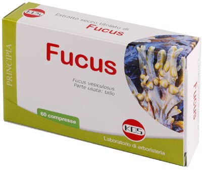 KOS - Línea Principia Extractos Secos (Fucus 60 comprimidos)