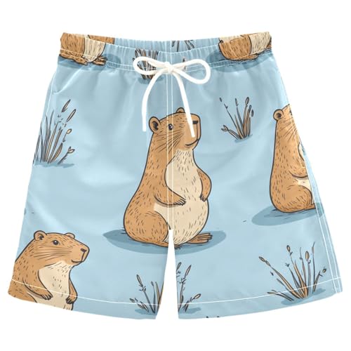 Jucciaco Boys Beach Board Shorts Animal Capybara Cartoon Swim Trunk Teen Swimwear Multicolor
