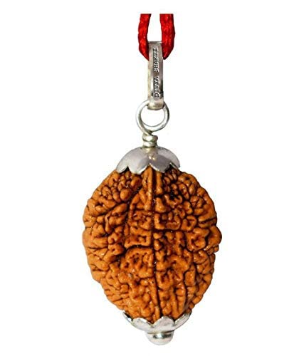 Ram Ratan Kendra 2 Mukhi Rudraksha Pendant (Two Faced Rudraksh with Lab Certificate & Pouch) 18 M.M