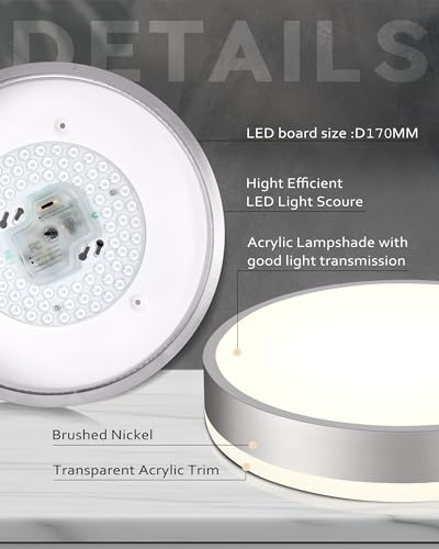 Image of Ken & Ricky 12 inch Modern Flush Mount Ceiling Light,Brush Nickel,1 Pack