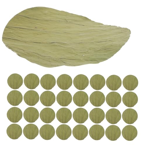 NUOLUX 100 [^X t i v[g [^X t p  i t  Lb` Hi bv  bp[ AW