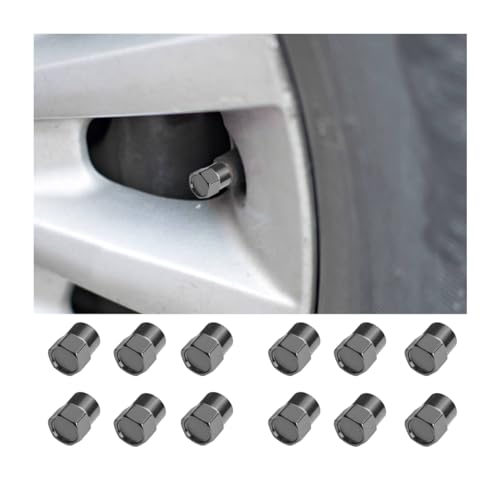 JNNJ 12 Stück Auto Ventilkappen Abdeckung, Autoventil Aluminium Kappen, Reifenventil-Staubkappen Mit Dichtung Universal Sechskant Ersatz, Ventilkappen Auto(Grau)