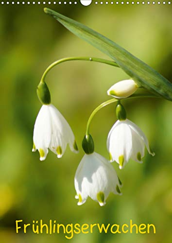 Preisvergleich Produktbild Frühlingserwachen (Wandkalender 2021 DIN A3 hoch)