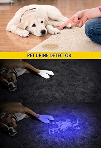 Darkbeam Uv 365Nm And 395Nm Light Wood's Lamp Blacklight Ultraviolet Flashlight Led Portable Mini Handheld Torch, Detector For Dog Urine Pet Stains Anti-Counterfeiting Identification, Resin Curing #TOP6