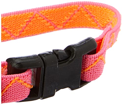 COLEIRA ELASTICA GATO PL CARA DE GATO UN