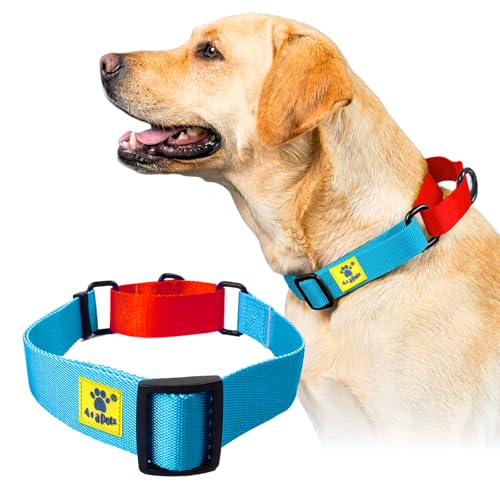 Image of A+a Pets Martingale Dog Collar | No Pull Design,No Neck Strain,No Choke Design | for Large & Medium Dogs | Rust Free,Waterproof Nylon Training Collar (Light Blue & Red),30 x 2.5 cm