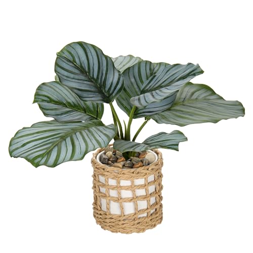 Comparison: Best Pots For Calathea 11 Briful Fake Plants Potted Plant Artificial Realistic Houseplant in White Ceramic Vase Wrapped Woven Pot, Calathea Faux Plant Indoor for Home Farmhouse Wedding Bedroom Shelf Decor