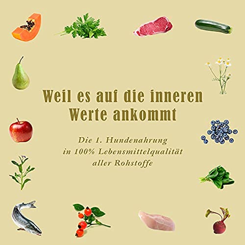 Terra Canis Kennenlernpaket L, Getreidefrei Hundefutter nass 9 x 400 g – Premium-Nassfutter für ausgewachsene Hunde Aller Rassen, mit Rohstoffen 100% Lebensmittelqualität
