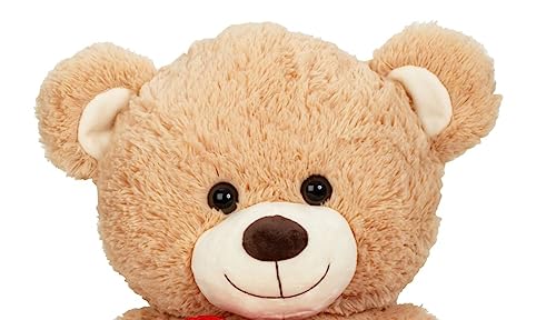 Lifestyle & More Riesen Teddybär Kuschelbär XL100 cm groß braun mit Herz Plüschbär Kuscheltier samtig weich