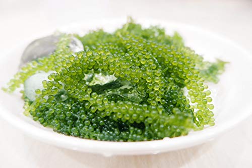 Salted Sea Grapes GREEN FOOD - Dehydrated seaweed - Organic - Umibudo - Green caviar - Caulerpa lentillifera (3.53 OZ/100g of 5 packs)
