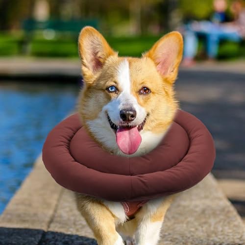 Collier de récupération chat en tissu imperméable et coton PP