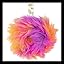 Furballz Ring (Warm Rainbow)