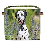 Boîtes de rangement portables : notre organisateur se replie pour un rangement rapide. Lorsqu'il n'est pas utilisé, il peut être plié pour économiser de l'espace. Les motifs personnalisés vous permettent de vous démarquer.