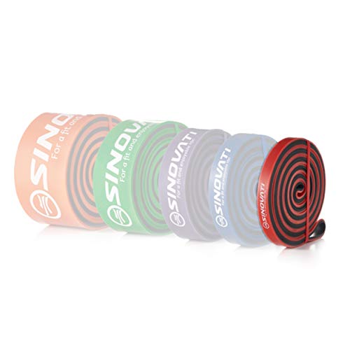 Premium Fitnessbänder Set, Resistance Bands Widerstandsbänder Krafttraining mit Trainingsanleitung und Videos - Widerstandsband, Fitness Band für Gym oder Home Fitness Cover
