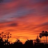 The Sunset