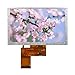 5.0 TFT LCD Display IPS 800 x 480 Driver ST7262 Colour RGB