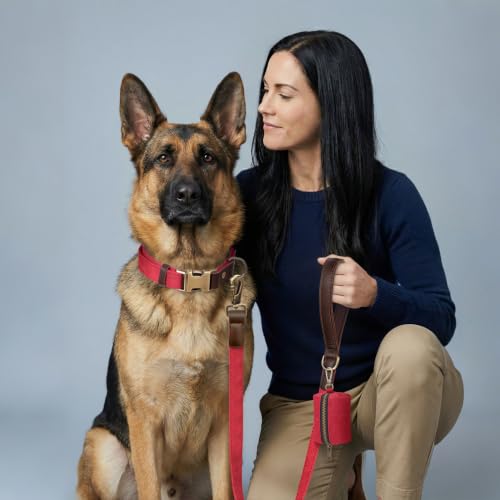 Image of Didog PU Leather Dog Collar for Large Dogs, Soft Nylon Lining, Red XL