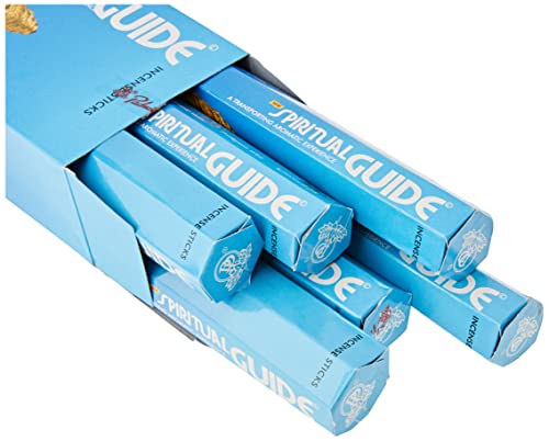 Laroom 10749 Lot de 12 boîtes de 20 bâtons d'encens Parfum Spiritual Guide