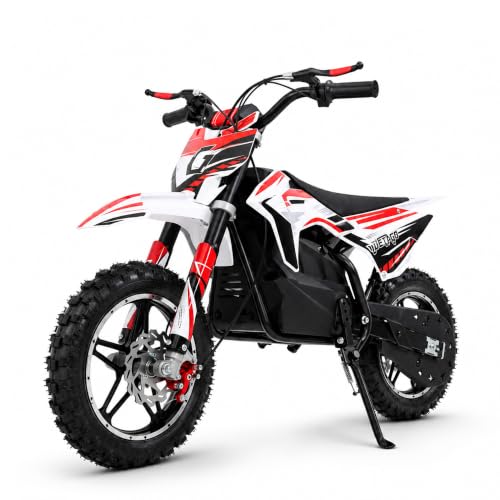 DEETAGO 36V 1000W Kids Dirt Bike