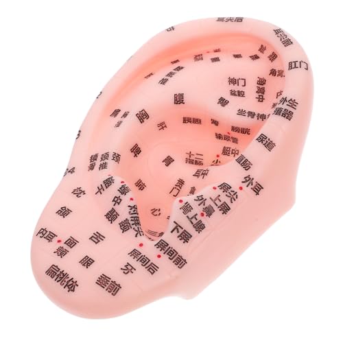 Healvian Simulation Ears Human Ear Models Acupoint Learning Display Reflex Zone Massage Tools