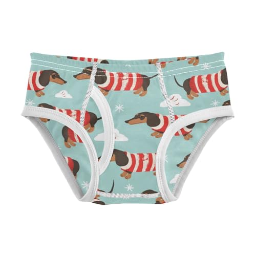 Wusikd Dachshund Dogs Boys' Underwear Cotton Red Boys Briefs Soft Toddler Underwear 2T