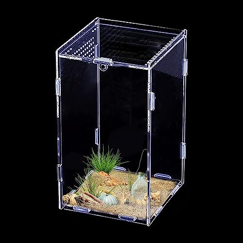 Reptile Feeding Box Terrarium Breeding Box Transparent Insect Habitat ...