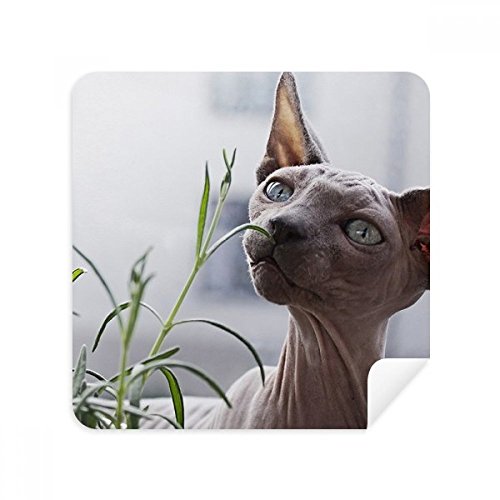 Chiffon de nettoyage pour écran de téléphone microfibre gris animal