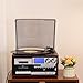 All in One Vintage 3 Speed Vinyl Record Player with Built-in Speakers,Bluetooth in/Out Turntable,CD Player/Cassette/USB/TF Card,AUX in,FM/AM Radio,RCA Out,Recording