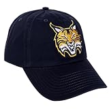Desert Cactus Quinnipiac University Baseball Hat QU Bobcats Brimmed Embroidered Cap Adjustable Cloth Strap Adult (Style B) Blue