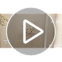 DWVO 5 Blade Ceiling Fan with Light and Remote, 52 Inch Modern White and Gold Ceiling Fan, 6-Speed Quiet DC Motor, LED Tri-Color Temperature, Memory Function for Bedroom, Living Room, Patio