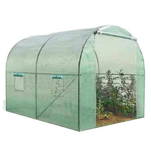 IDMarket - Serre Tunnel de Jardin 6M² Verte Gamme maraîchère Roma 2x3M