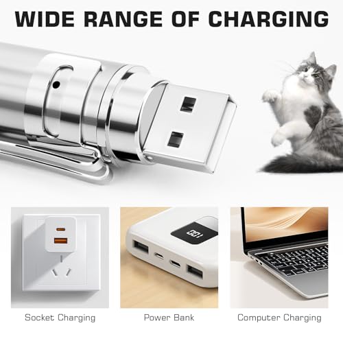 Cozy Inviting LED Point Light für Katzen Spielzeug, Interaktives katzenspielzeug, USB Wiederaufladbar, 3 in 1 Light Trainingsgerät für Haustiere und 5 Muster