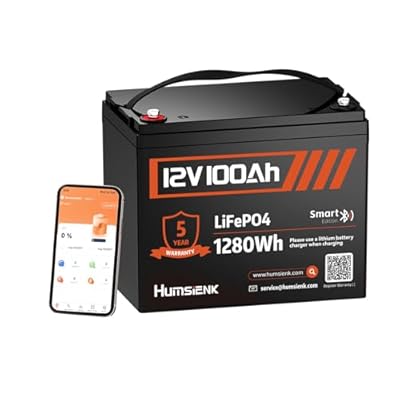 12V 100Ah LiFePO4 Lithium Battery Bluetooth - BCI Group 24 Deep Cycle Battery, Built-in 100A BMS & Low-Temp Protection, 15000+ Cycles, for RV/Marine/Trolling Motor/Off-Grid/Home Backup