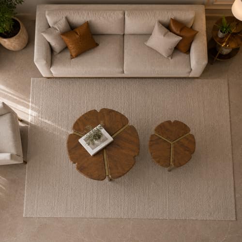 Image of The Attic Roselle Coffee Table, Metal & Sold Wood Coffee Table Set of 2, Tobacco & Gold Finish