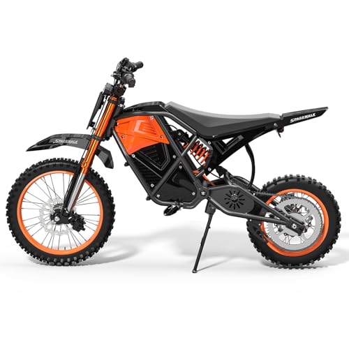 EILLEO 3000W Mid-Drive Electric Dirt Bike