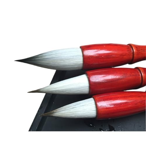 YMGSCC JOtB[uVZbg E[rbgwA CeBOuVy `G uV